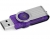 Kingston 32GB DataTraveler 101 G2 Paars / USB 2.0 Flash Drive