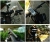 Bike4 Holder Mount Weatherproof / Fietshouder Wit iPhone 4 & 4S