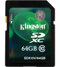 Kingston 64GB SDXC Class 10 Flash Card (HD Video)