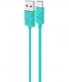 Usams U-Gee Standaard USB naar USB-C Kabel (100cm) - Mintgroen