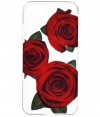 Guess Flower Desire Case Apple iPhone 6/6S/7/8 (4,7") Transparant