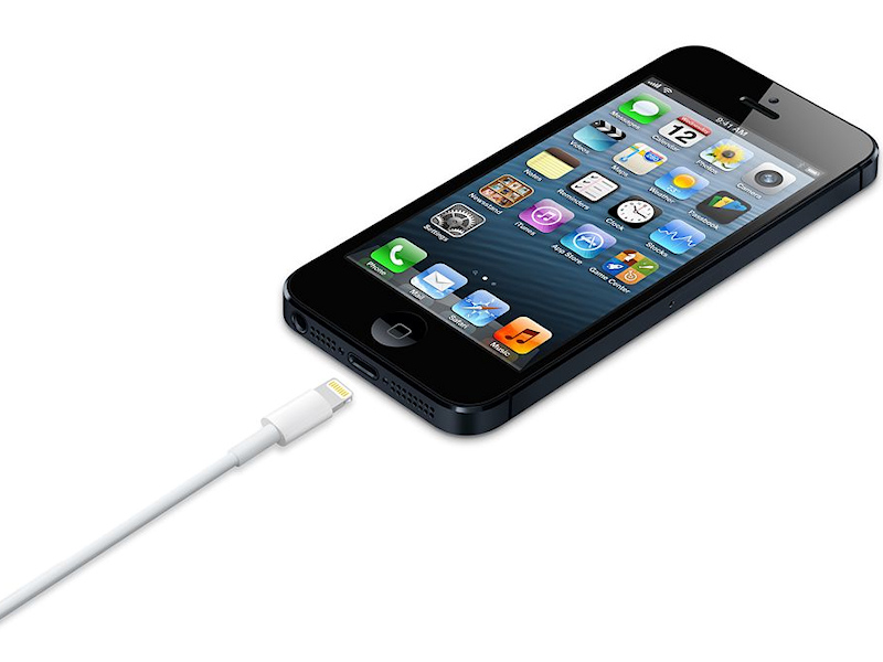 DigitalsOnline - apple lightning naar kabel for iphone 5 & mini origineel